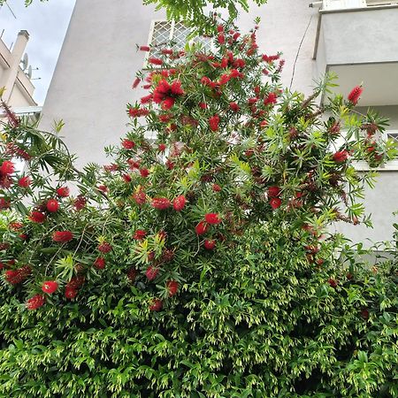 Il Pozzo Daire Roma Dış mekan fotoğraf